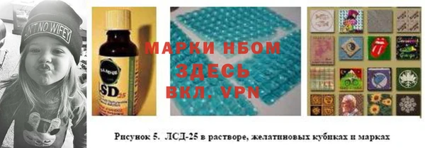 дживик Липки