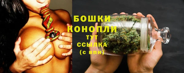 ГАЛЛЮЦИНОГЕННЫЕ ГРИБЫ Лихославль