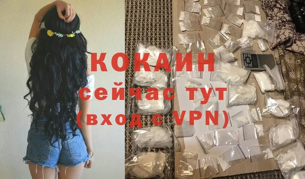 тгк Лагань
