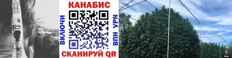 hydra вход  Старая Купавна  МАРИХУАНА White Widow 